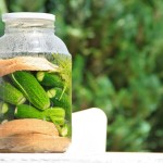 źródło: pixabay.pl