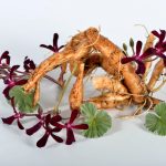 źródło: http://www.focus.pl