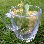 źródło: pixabay.pl