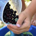 źródło: pixabay.pl