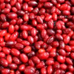 źródło: https://pixabay.com